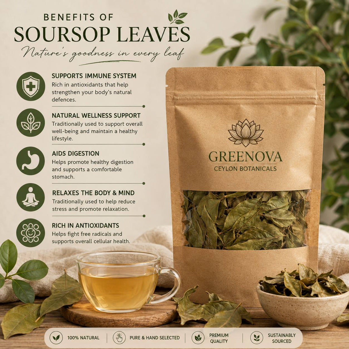 Premium Dried Soursop Leaves | Annona muricata | 100% Natural greenova botanicals