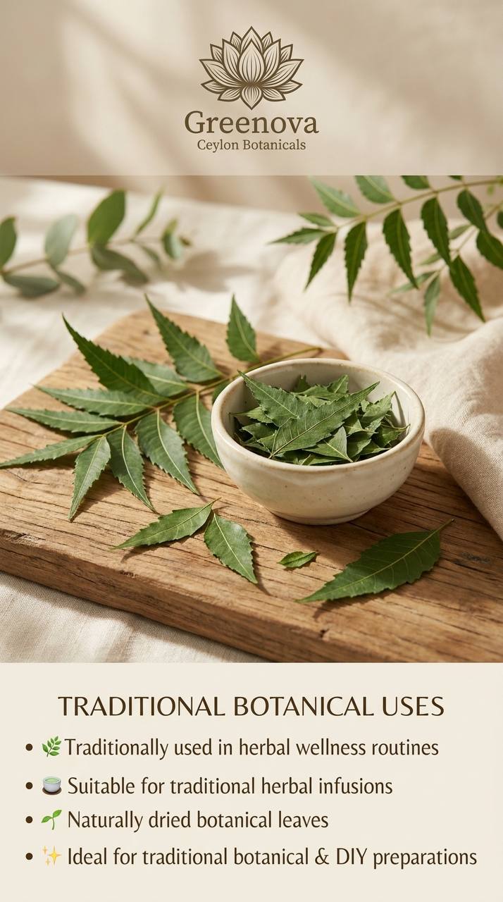 Premium Dehydrated Neem Leaves (Azadirachta indica) | 100% Natural Dried Neem Leaves | Greenova Ceylon Botanicals