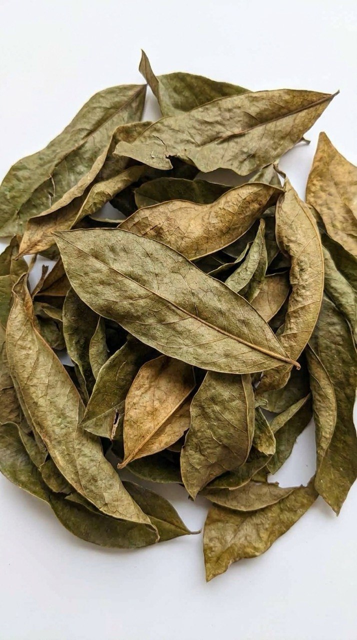 Premium Dried Soursop Leaves | Annona muricata | 100% Natural greenova botanicals